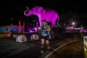 BIB: 
                            <button type="button" onclick="openModal(26552091)" class="btn btn-primary btn-sm float-right btn-popup" data-toggle="modal" data-target=".modal-high-quality">
                        <i class="fas fa-shopping-cart"></i> Add to Cart
                    </button>
                                            <button type="button" onclick="isThisMe(26552091, true)" class="btn btn-success btn-sm float-right btn-popup btn-isme hidden" data-toggle="tooltip" data-placement="bottom" title="นี่คือรูปของคุณใช่ไหม คลิกที่นี่เพื่อเอาเข้าอัลบั้ม">
                        <i class="fas fa-plus"></i> Add to album
                    </button>
                    <button type="button" onclick="isThisMe(26552091, false)" class="btn btn-warning btn-sm float-right btn-popup btn-isnotme hidden">
                        <i class="fas fa-ban"></i> Remove from album
                    </button>